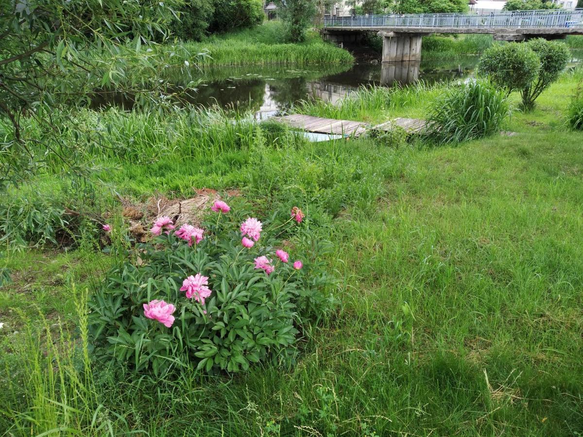 Villa River Side Studio, 9Mi From Palanga, With Sauna Kretinga Exterior foto